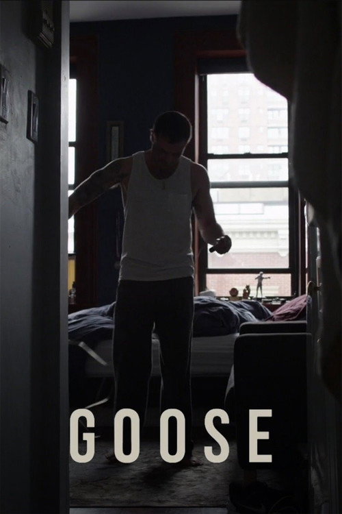 Movie poster for Goose (2017)