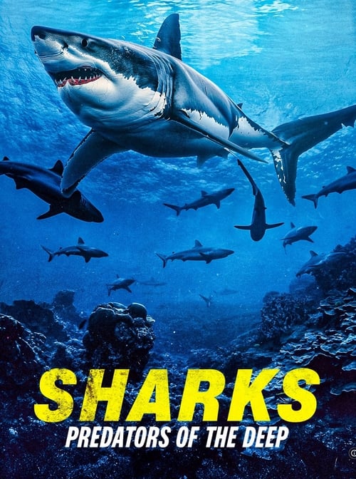 Movie poster for Sharks: Predators of the Deep (2024)
