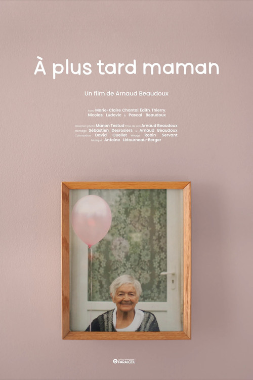 Movie poster for À plus tard maman