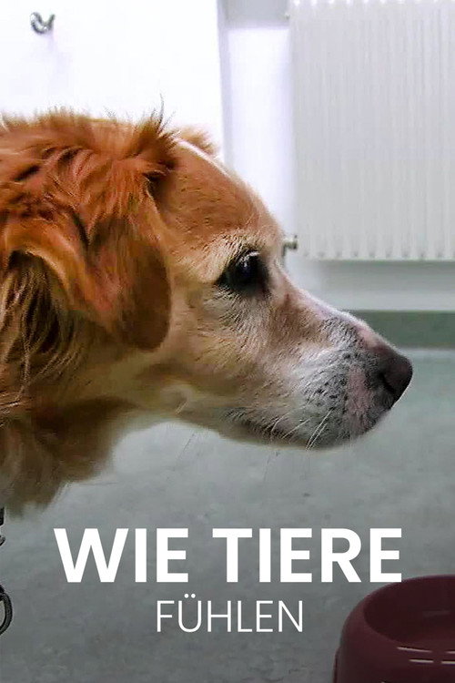 Movie poster for Wie Tiere fühlen (2016)