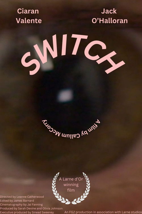 Switch poster