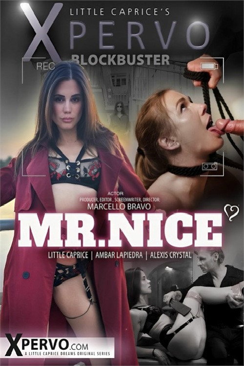 Movie poster for Mr. Nice (2025)