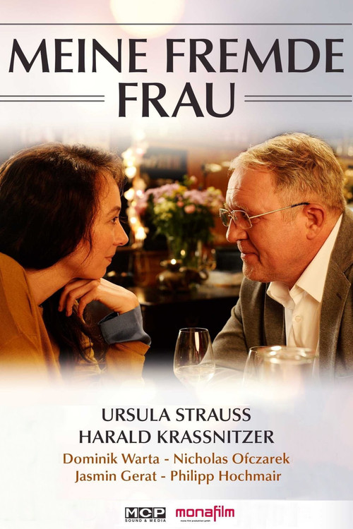 Movie poster for Meine fremde Frau (2015)