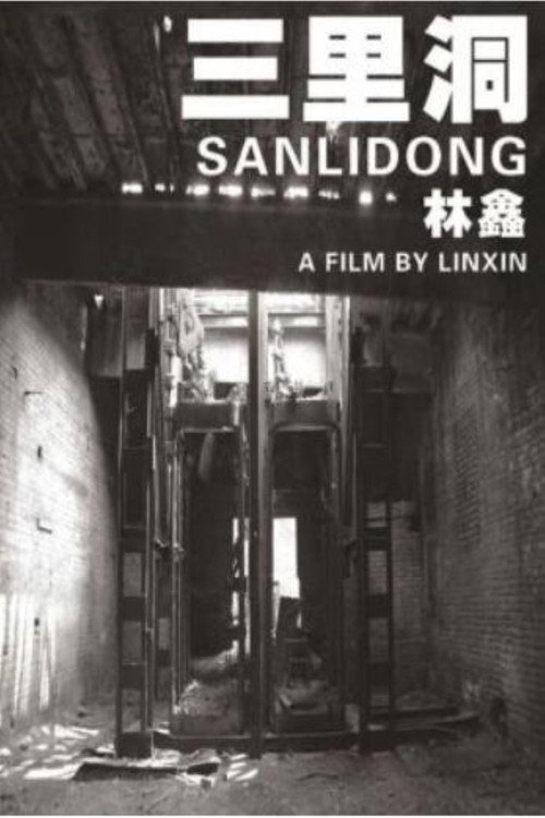 Movie poster for Sanlidong (2007)