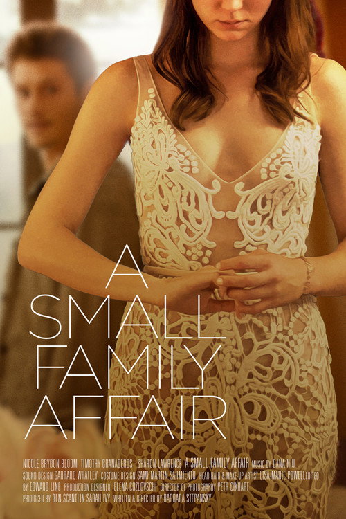 Movie poster for A Small Family Affair (2020)