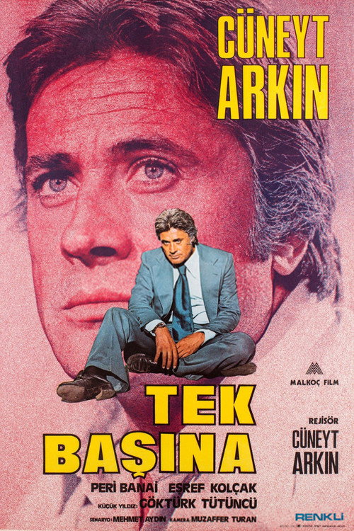 Movie poster for Tek Başına (1976)