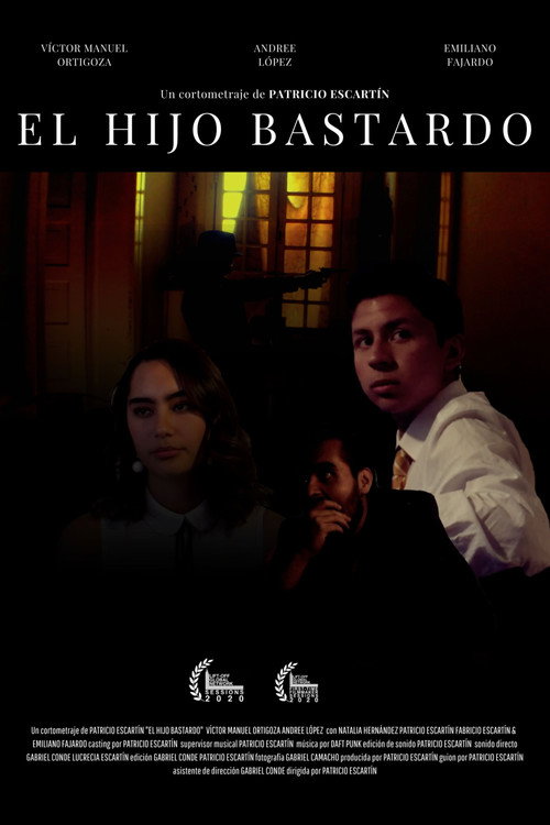 Movie poster for The Bastard Son (2019)