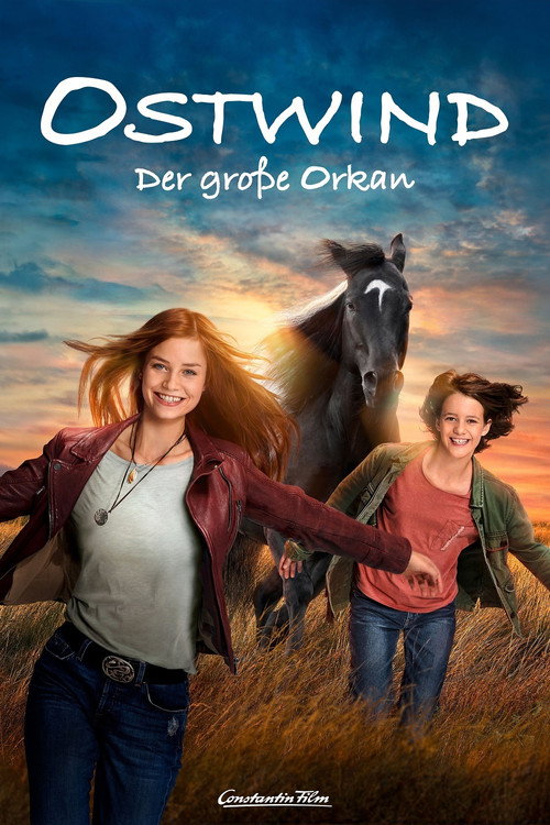 Movie poster for Windstorm: The Great Hurricane (2021)