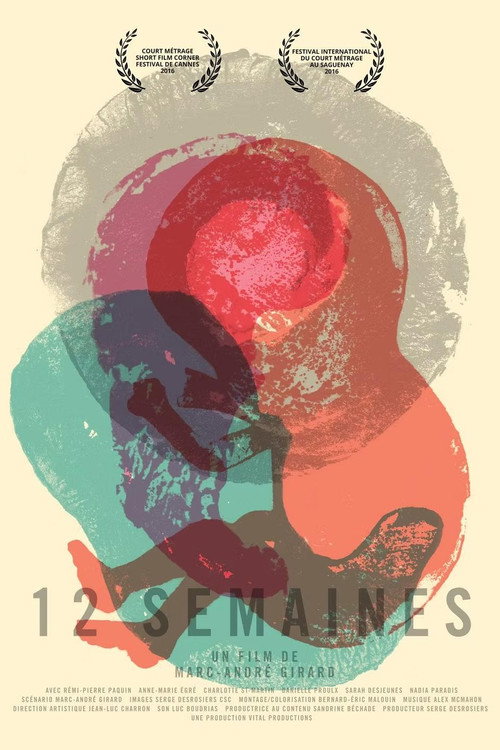 Movie poster for 12 Weeks (2015)