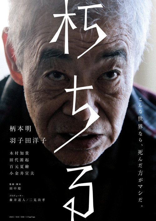 Movie poster for Rotting (2024)