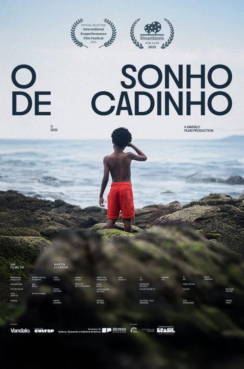 Movie poster for O Sonho de Cadinho (2025)