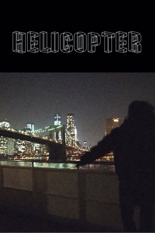 Movie poster for Helicopter (2013)