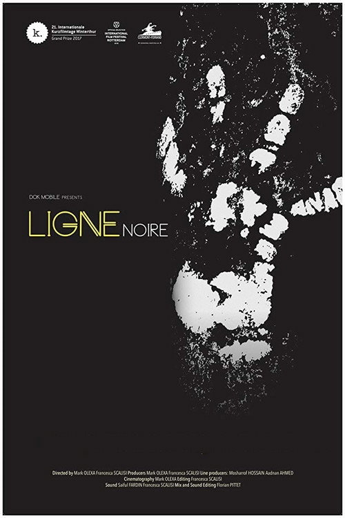 Movie poster for Black Line (2017)