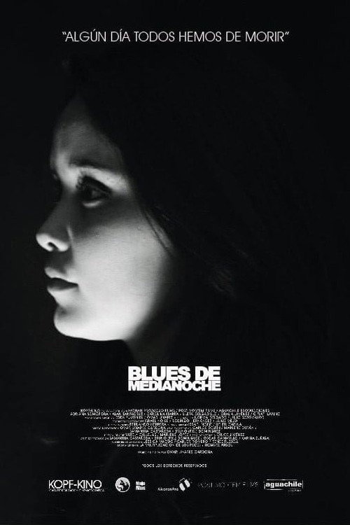 Movie poster for Blues de medianoche (2014)