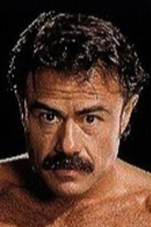 Photo of Joe Magnum, Acting