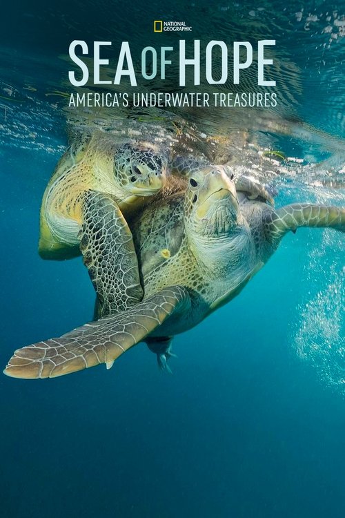 Movie poster for Sea of Hope: America's Underwater Treasures (2017)
