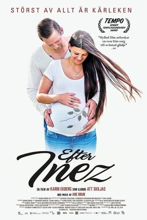 Movie poster for After Inez (2017)