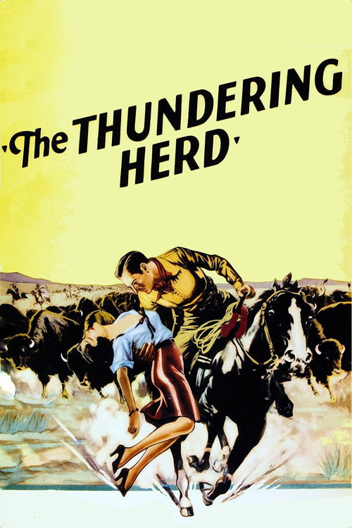 Movie poster for Buffalo Stampede (1933)