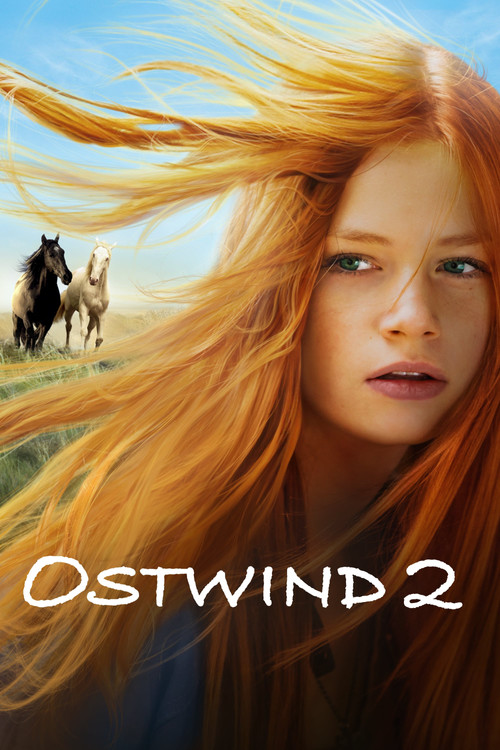 Movie poster for Windstorm 2 (2015)