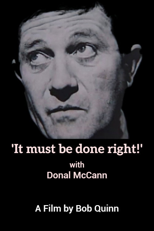 Movie poster for 'It must be done right!' with Donal mcCann (1999)