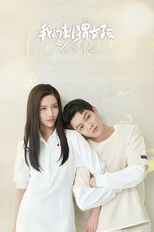 我的刺猬女孩之念念不忘 poster