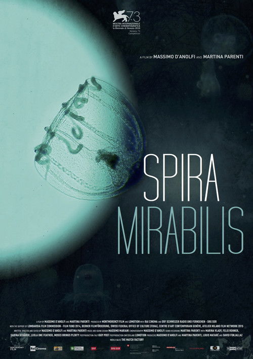 Movie poster for Miraculous Spiral (2016)