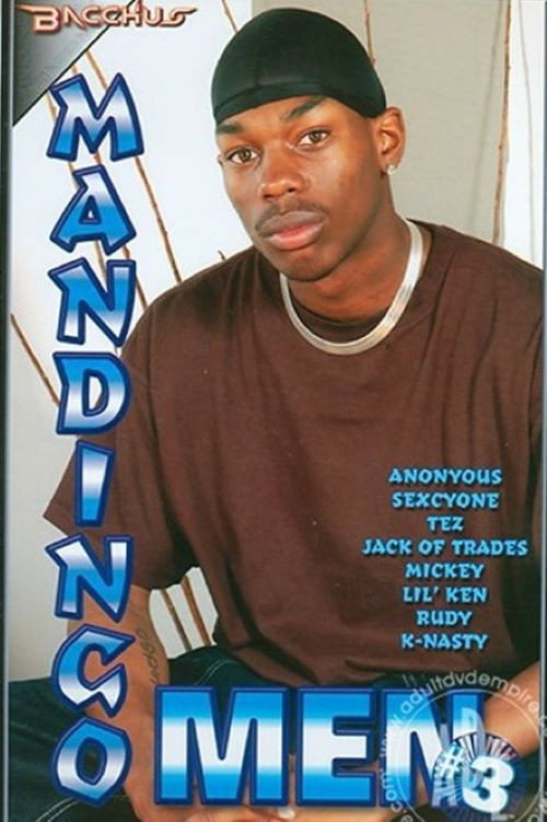 Movie poster for Mandingo Men 3 (2004)