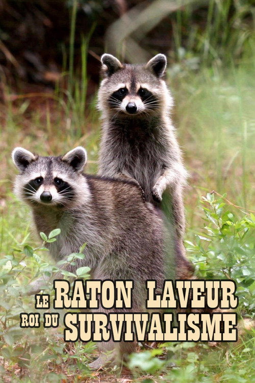 Movie poster for The Raccoon; The King of Survivalism (2021)