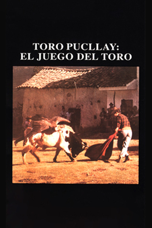 Movie poster for Toro Pucllay (1998)