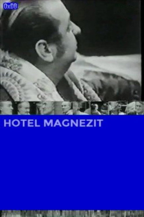 Movie poster for Hotel Magnezit (1978)