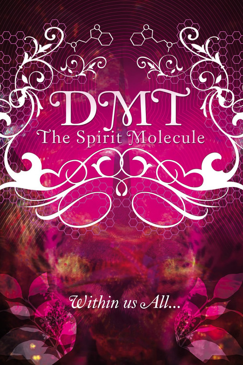 Movie poster for DMT: The Spirit Molecule (2010)