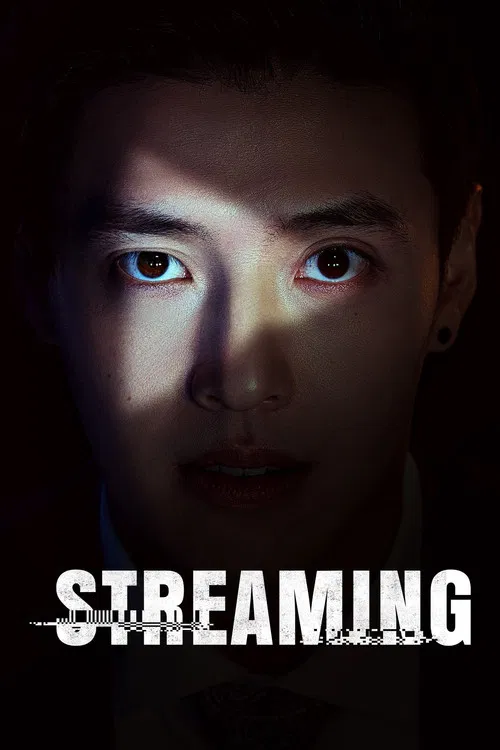 Movie poster for Streaming (2025)