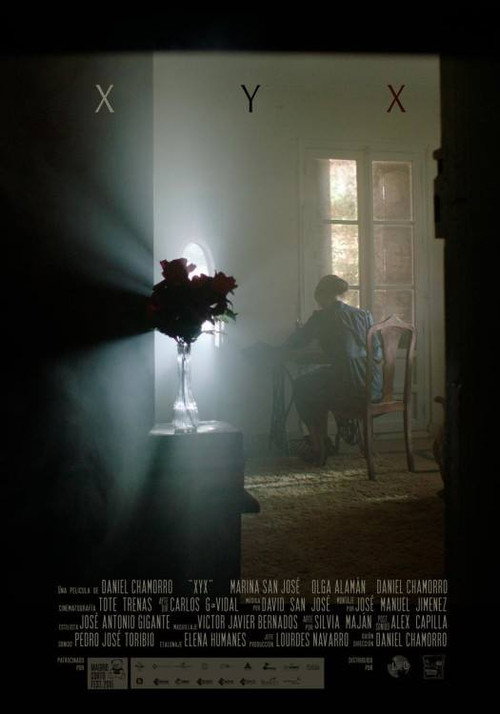 Movie poster for XYX (2018)