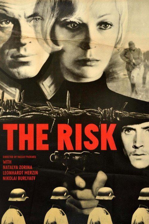 Movie poster for The Risk (1971)