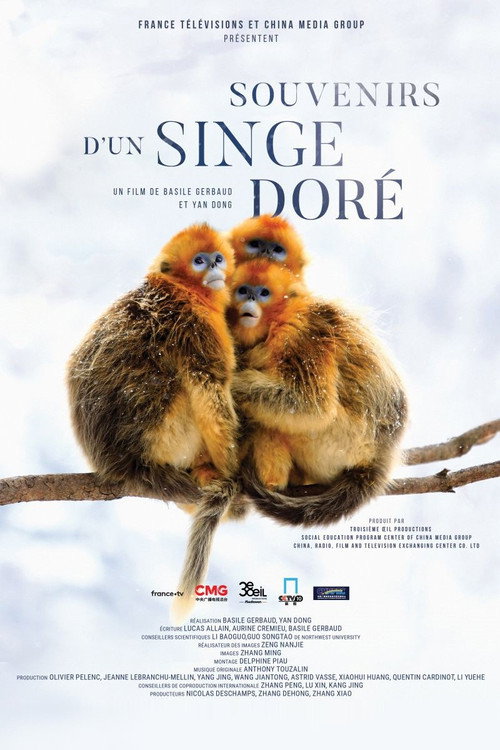 Movie poster for Souvenirs d'un singe doré (2023)