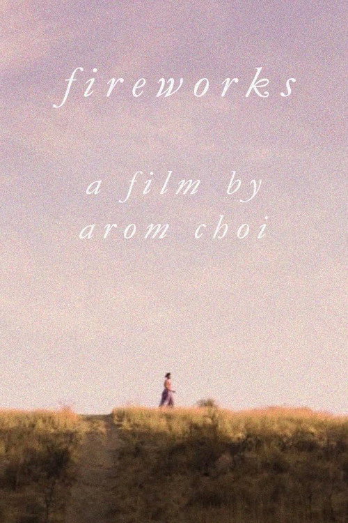 Movie poster for Fireworks (2017)