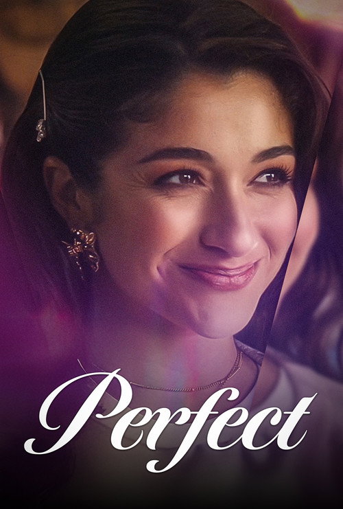 Movie poster for Perfect (2025)