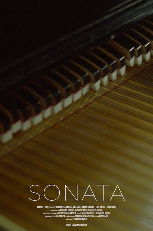 Movie poster for Sonata (2023)