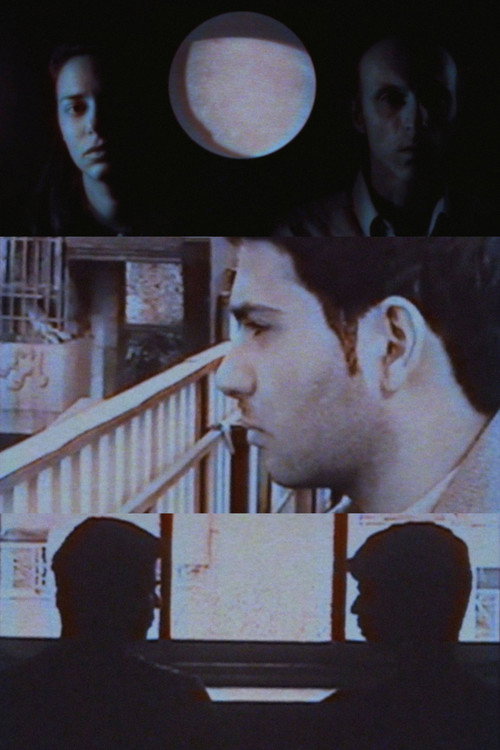 Movie poster for Homo Sapiens Project (201) (2002-2021) (2021)