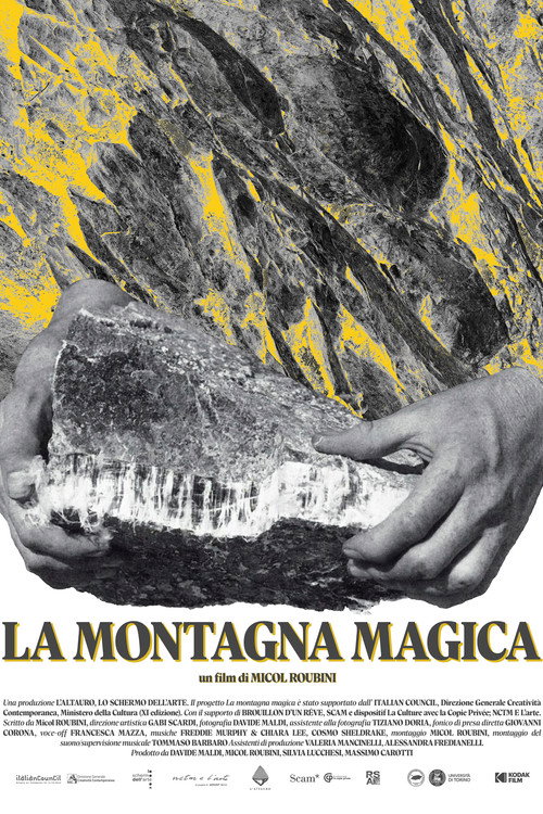 Movie poster for La montagna magica (2025)