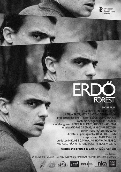 Movie poster for Forest (2011)