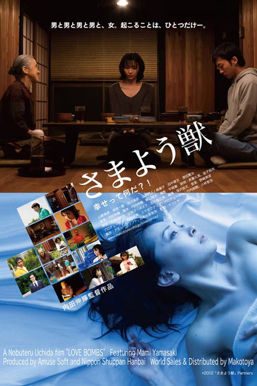 Movie poster for Love Bombs (2013)