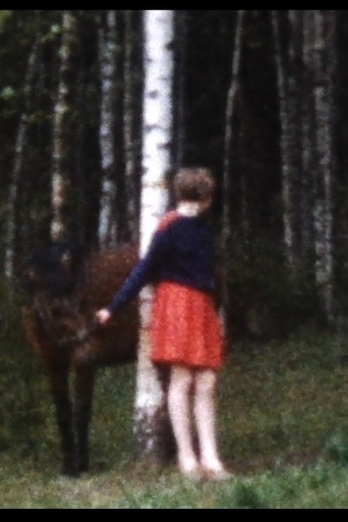Movie poster for Världens sämsta hästtjej (2009)