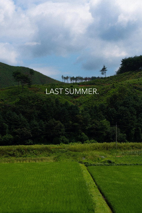Movie poster for Last Summer (2023)