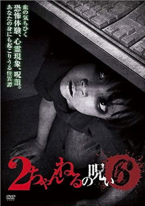 Movie poster for 2 Channel no Noroi - VOL. 6 (2012)