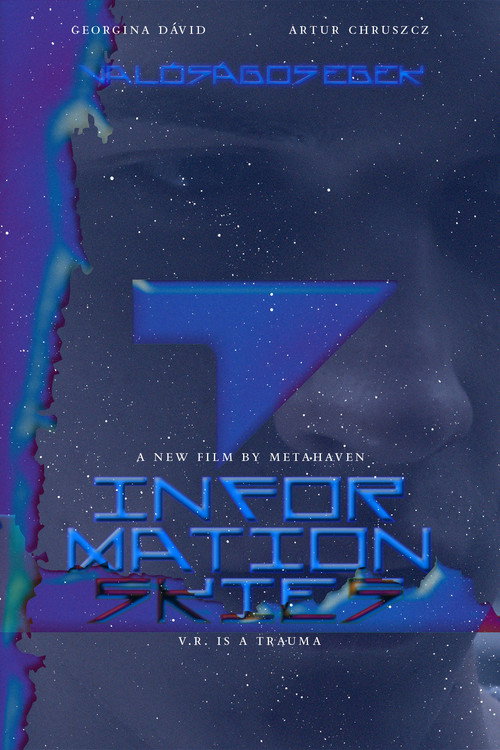 Movie poster for Information Skies (2016)