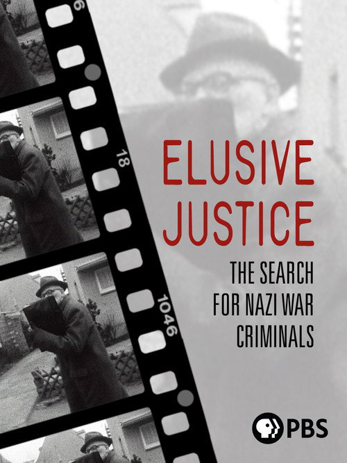 Movie poster for Elusive Justice (2011)