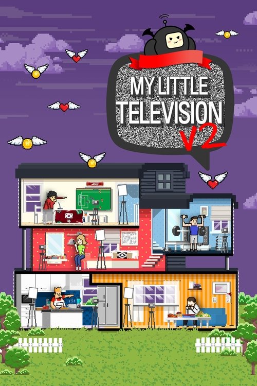My Little Television poster