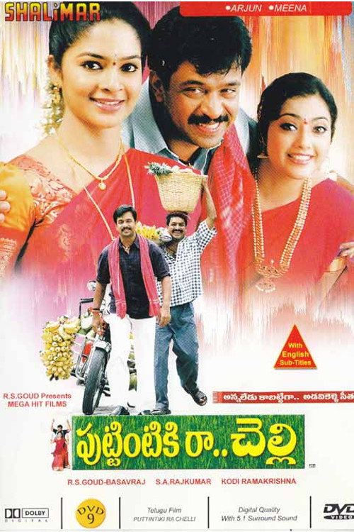 Movie poster for Puttintiki Raa Chelli (2004)