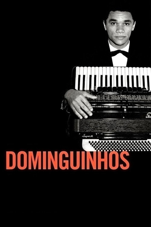 Movie poster for Dominguinhos (2014)